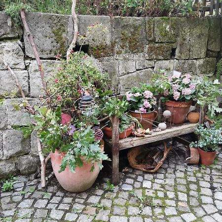 Ferienwohnung Auszeit Freital Exterior foto