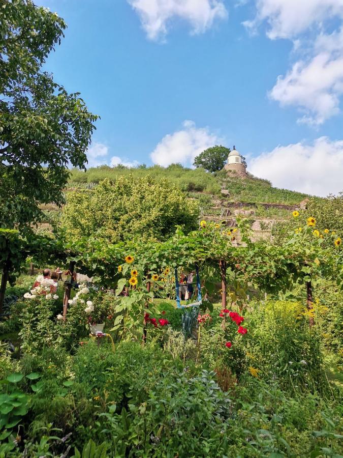 Ferienwohnung Auszeit Freital Exterior foto