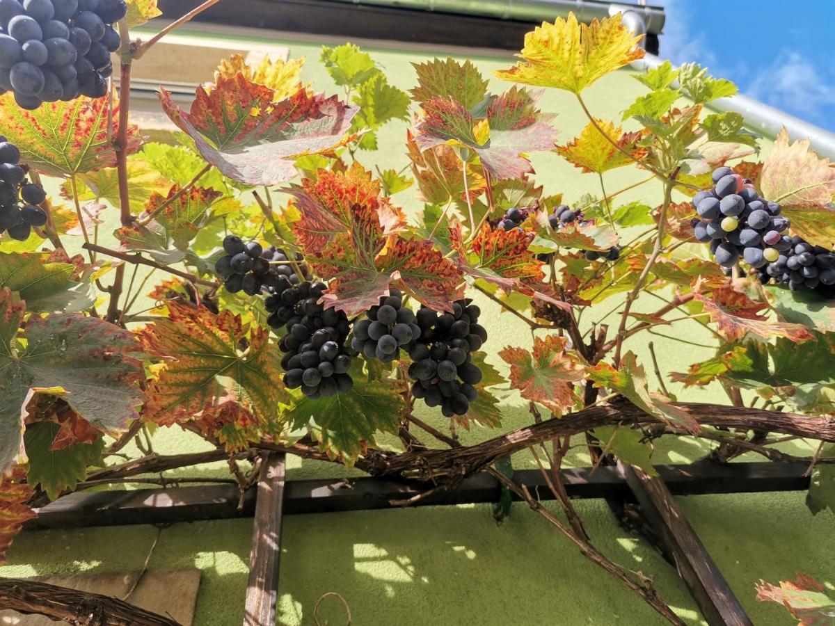 Ferienwohnung Auszeit Freital Exterior foto