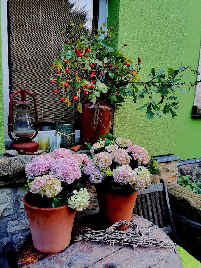 Ferienwohnung Auszeit Freital Exterior foto